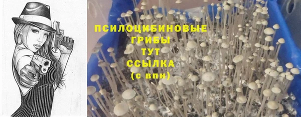 скорость Аркадак