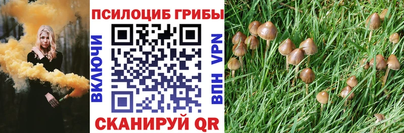 цены наркотик  Покров  Галлюциногенные грибы ЛСД 